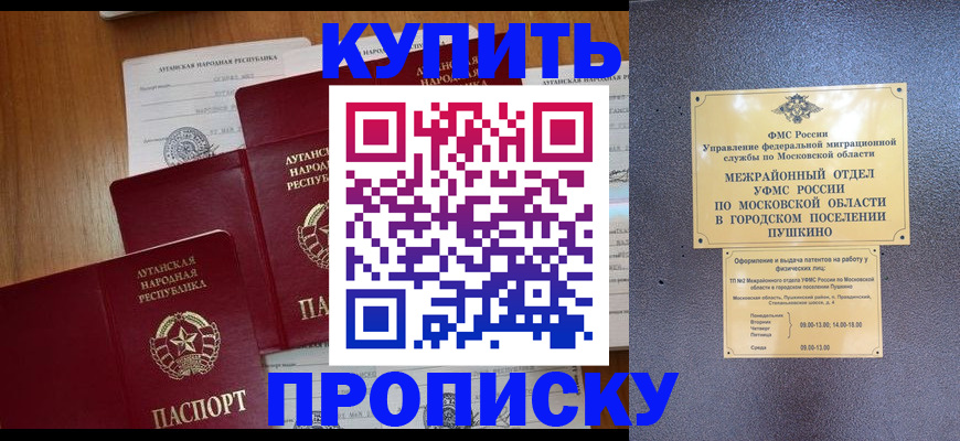 прописка в квартире в Ртищево